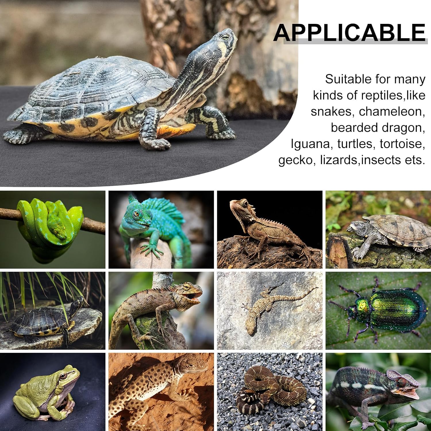 Haull 4 Pcs Reptile Carpet Pet Terrarium Floor Liners Bedding Substrate Liner Supplies Reptile Cage Mat Tank Accessories for Lizard Bearded Dragon Tortoise Snake Leopard (Black,47 x 24 Inch) - Happypetzone.online - Image 4