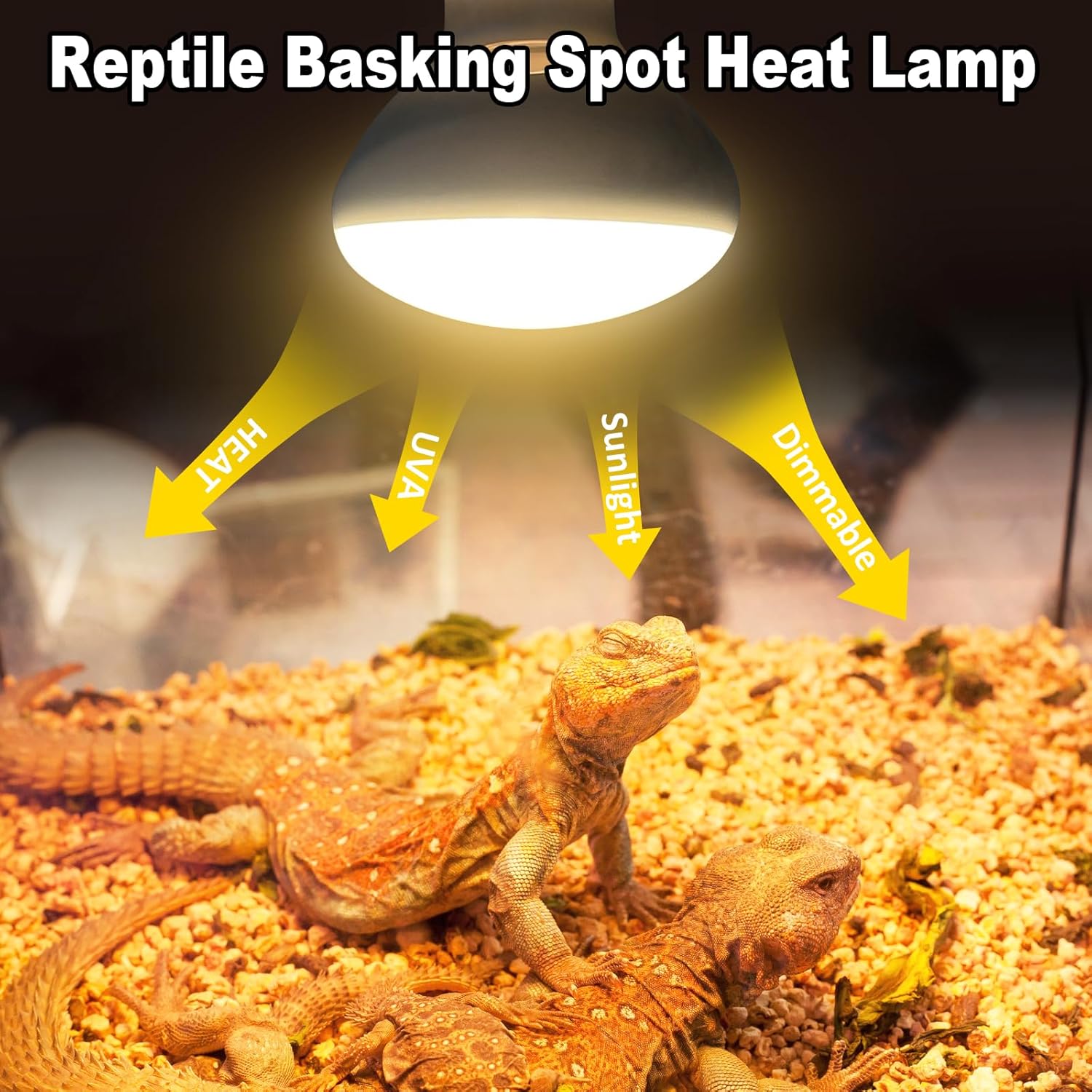 MIXJOY 150W Reptile Heat Lamp Bulbs, 2Pack Heat Lamp Bulbs for Reptiles Basking Bulbs UVA Daylight Basking Light Amphibians Heating Lamp Emitter for Lizard, Tortoise, Bearded Dragon Gecko, Chicken - Happypetzone.online - Image 2