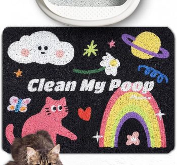 cat accessories cute