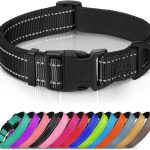 reflective dog collar