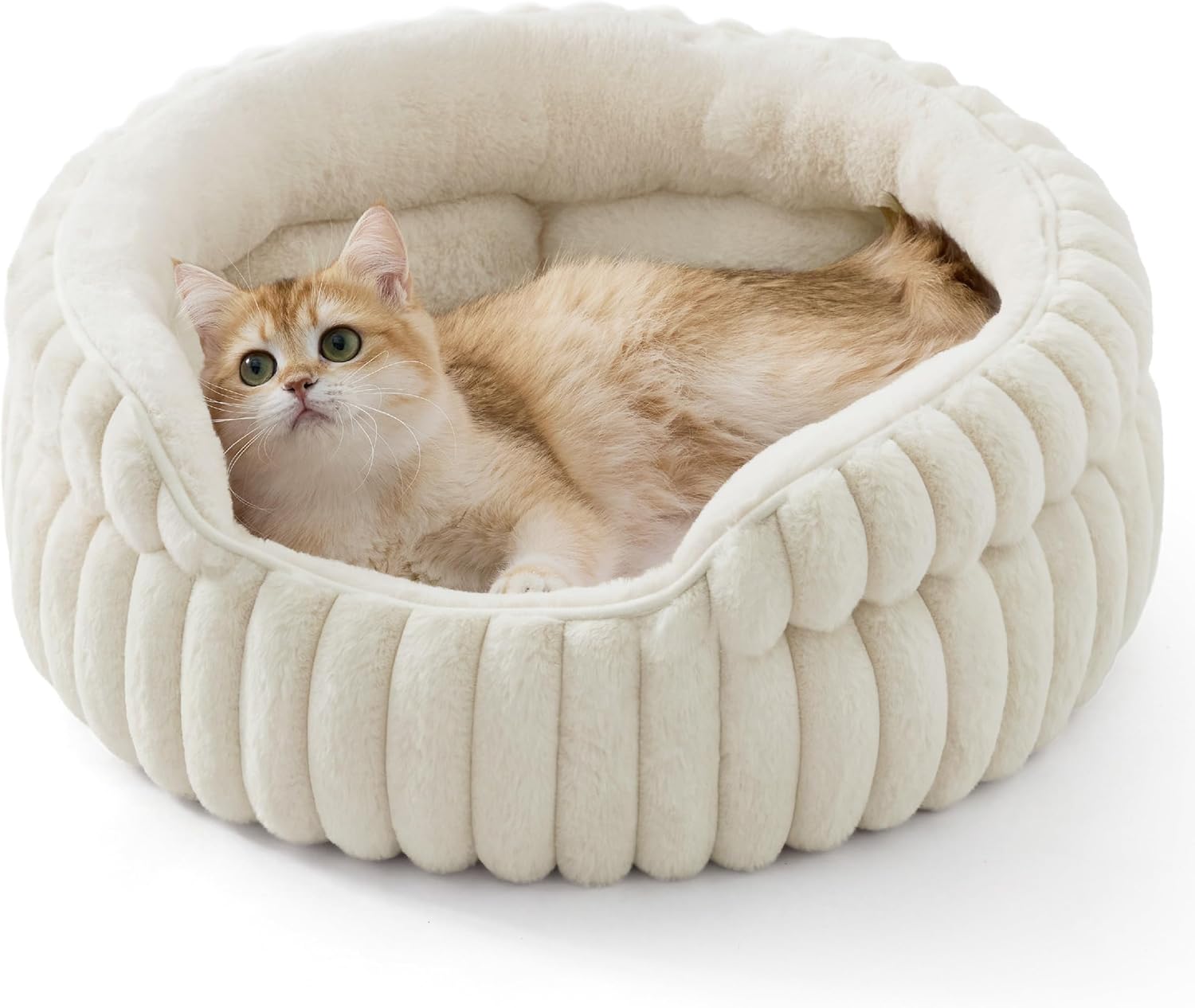 cat bed fluffy