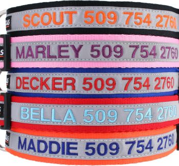personalized dog collar