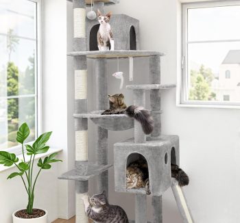 cat tree for big cats