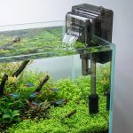 aquarium filter for small tank