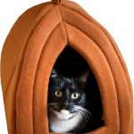 cat bed indoor