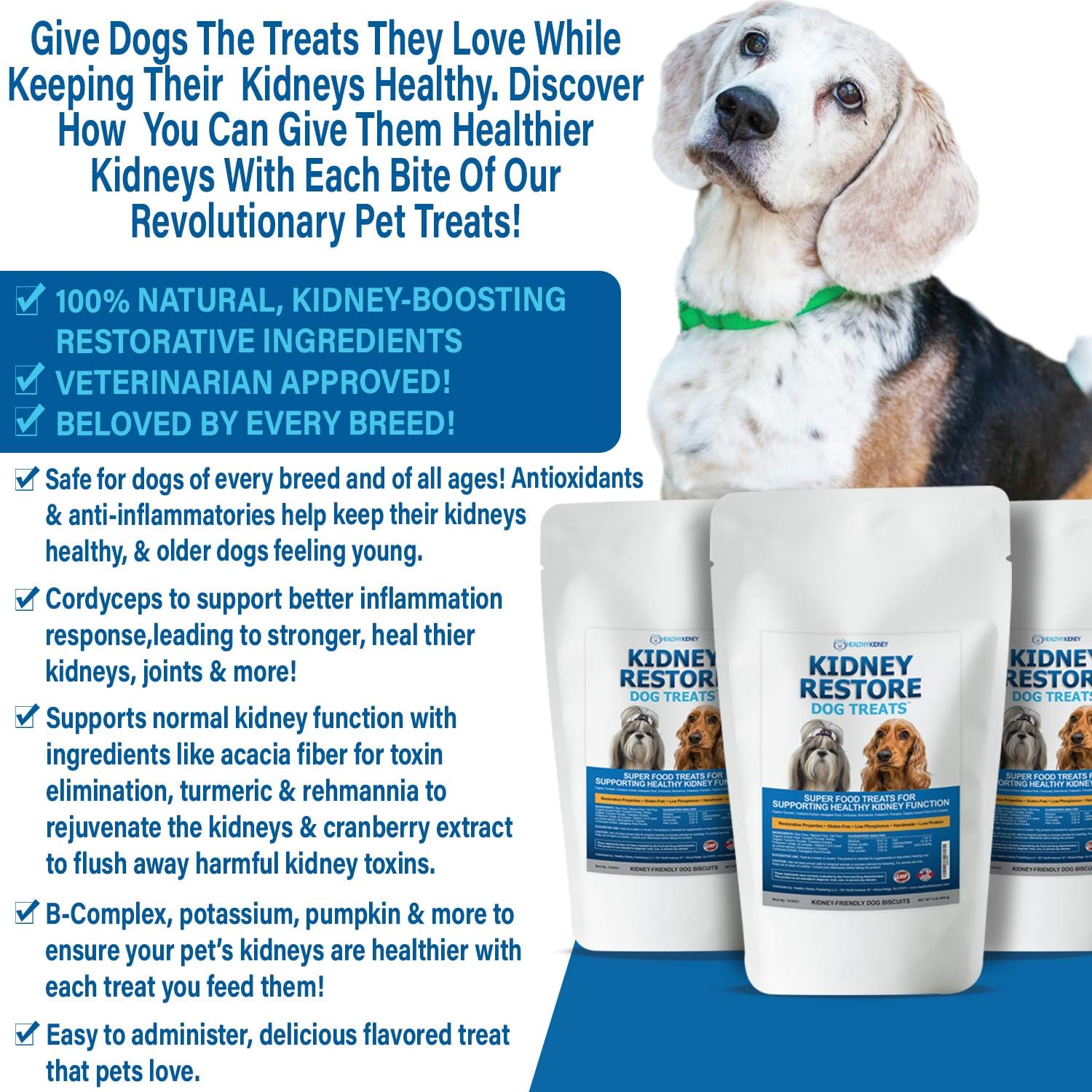 Kidney Restore Dog Treats with Hard Copy Special Report Kidney Support Chew Biscuit Cleanse Renal Canine Cookie for Kidneys - Happypetzone.online - Image 5