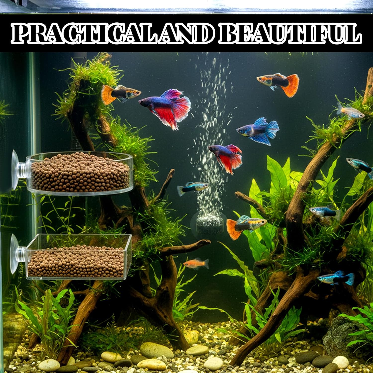 2Pcs Shrimp Feeding Dish, Aquarium Feeding Dish with Suction Cup Acrylic Fish Food Feeder for Freshwater and Saltwater Tanks Round and Square - Happypetzone.online - Image 4