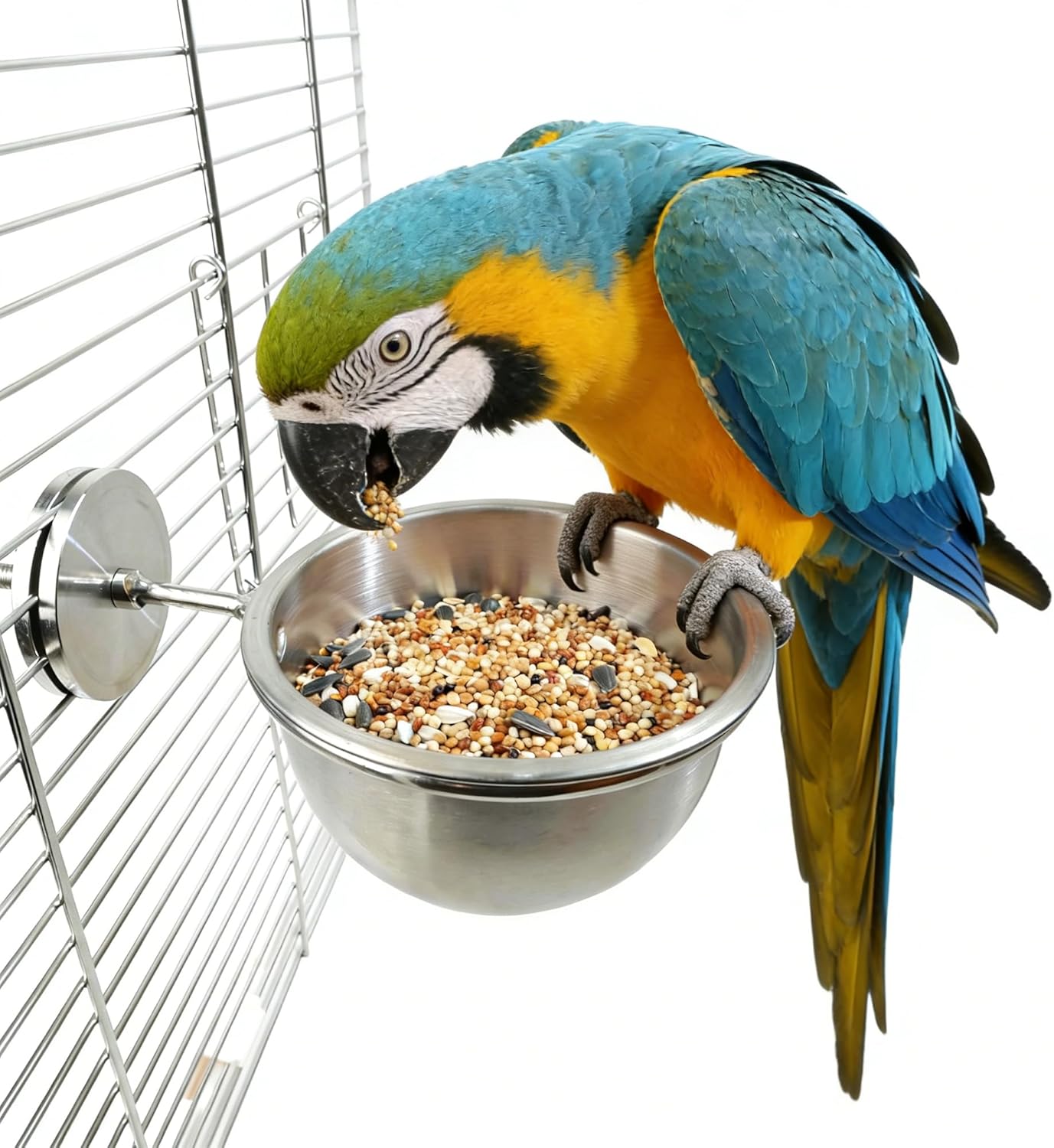 bird food for parrots