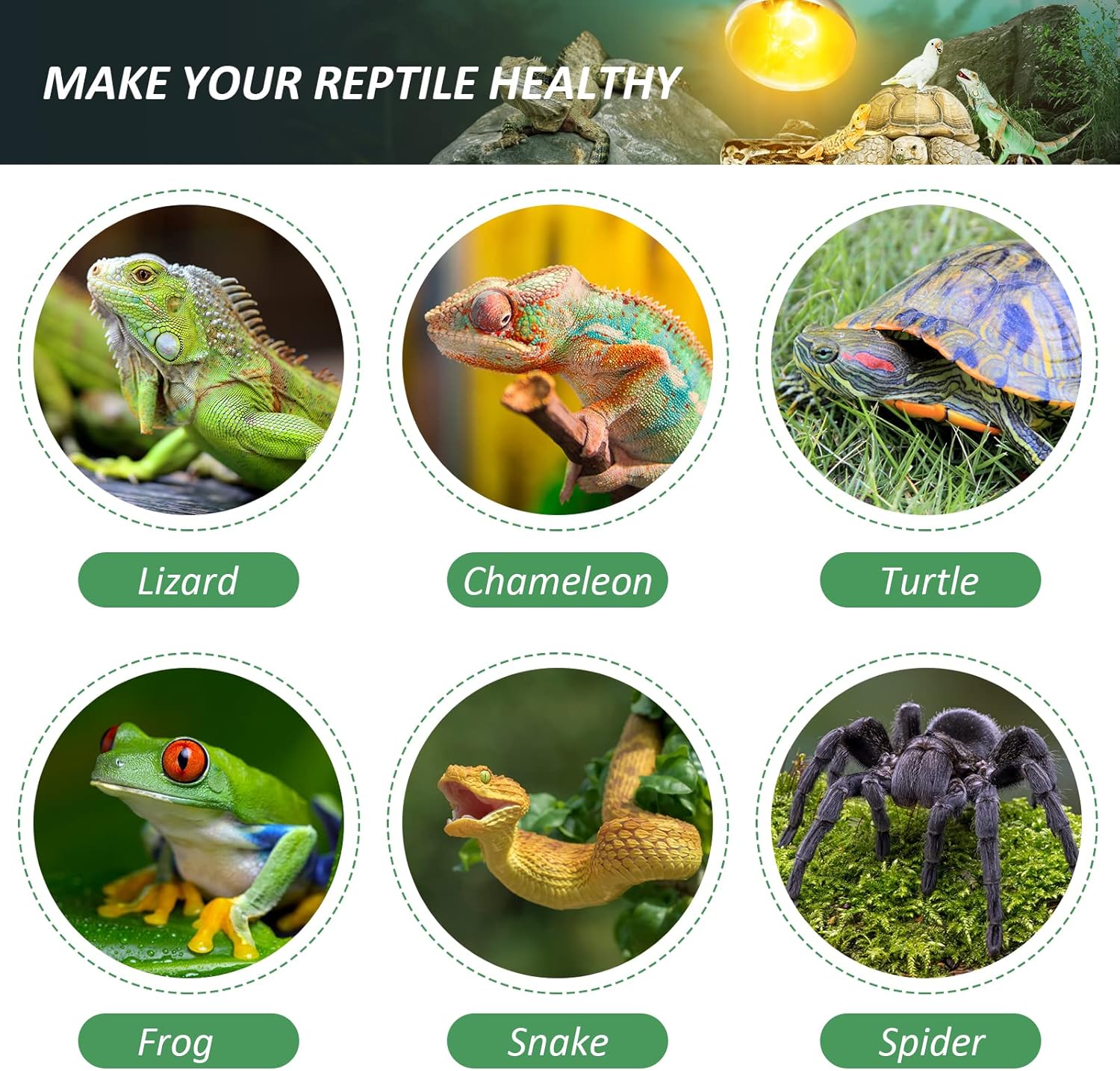 MIXJOY 2 Pack 100W Reptile Heat Lamp Bulb Full Spectrum UVA UVB Sun Light for Reptile and Amphibian Use - Happypetzone.online - Image 6