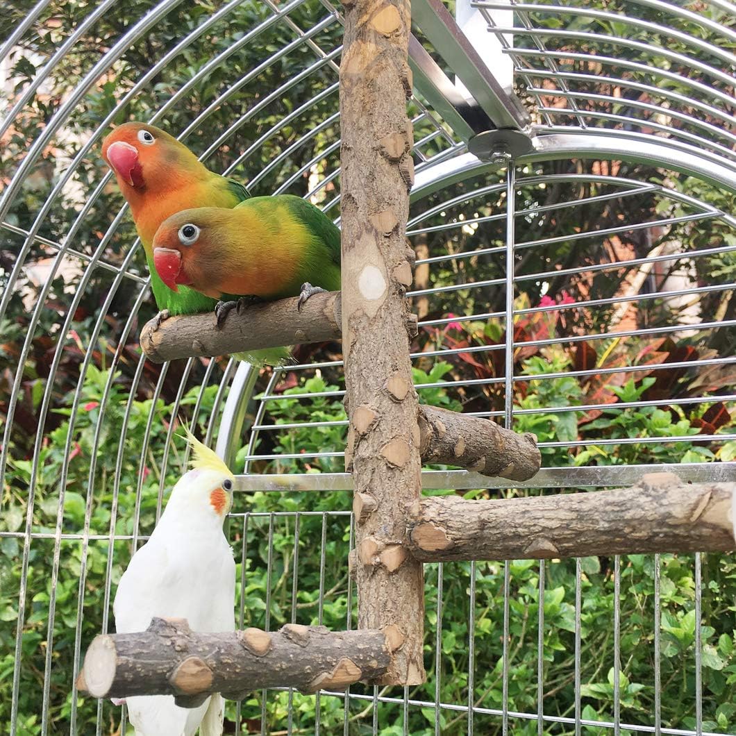 Bird Perch Nature Wood Stand for 3-4pcs Small Medium Parrots (S) - Happypetzone.online - Image 5