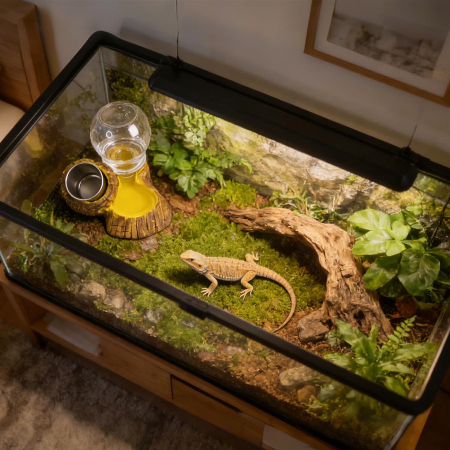 Reptile Food & Water Feeder, Escape Proof Feeding Bowl with Removable Stainless Steel Dish for Mealworms - Happypetzone.online - Image 7