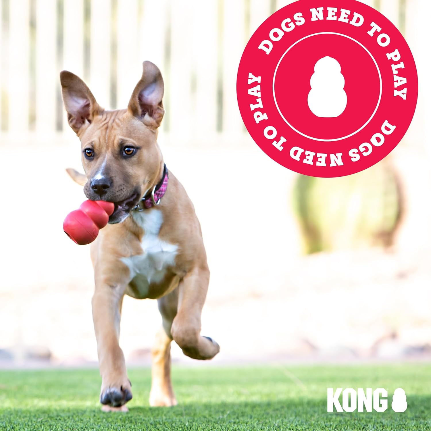 KONG Classic Stuffable Dog Toy - Fetch & Chew Toy for Dogs - Treat-Filling Capabilities & Erratic Bounce for Extended Play Time - Durable Natural Rubber Material - for Medium Dogs - Happypetzone.online - Image 9