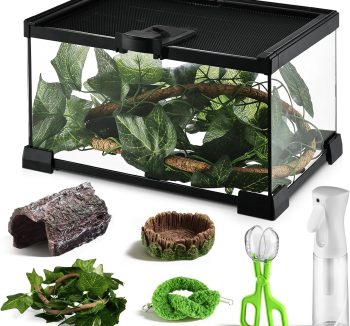 reptile habitat setup kit