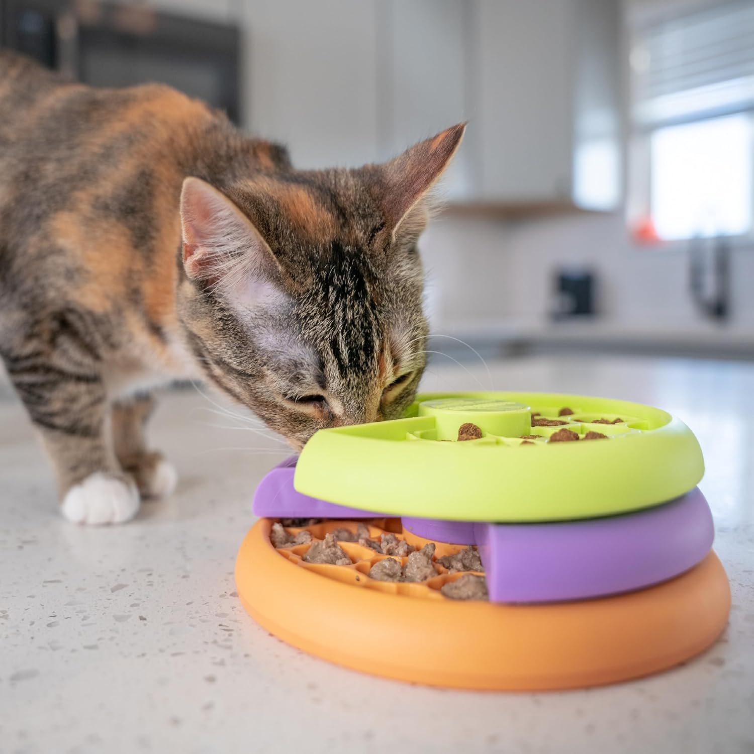 Catstages Kitty Lickin' Layers Interactive Cat Slow Feeder Treat Puzzle Toy, Dry or Wet Food, Mental Stimulation, Foraging Toy with 80+ Compartments - Happypetzone.online - Image 8