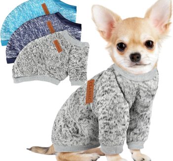 dog clothes winter