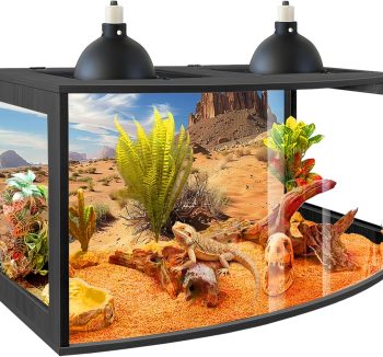 bearded dragon tank
