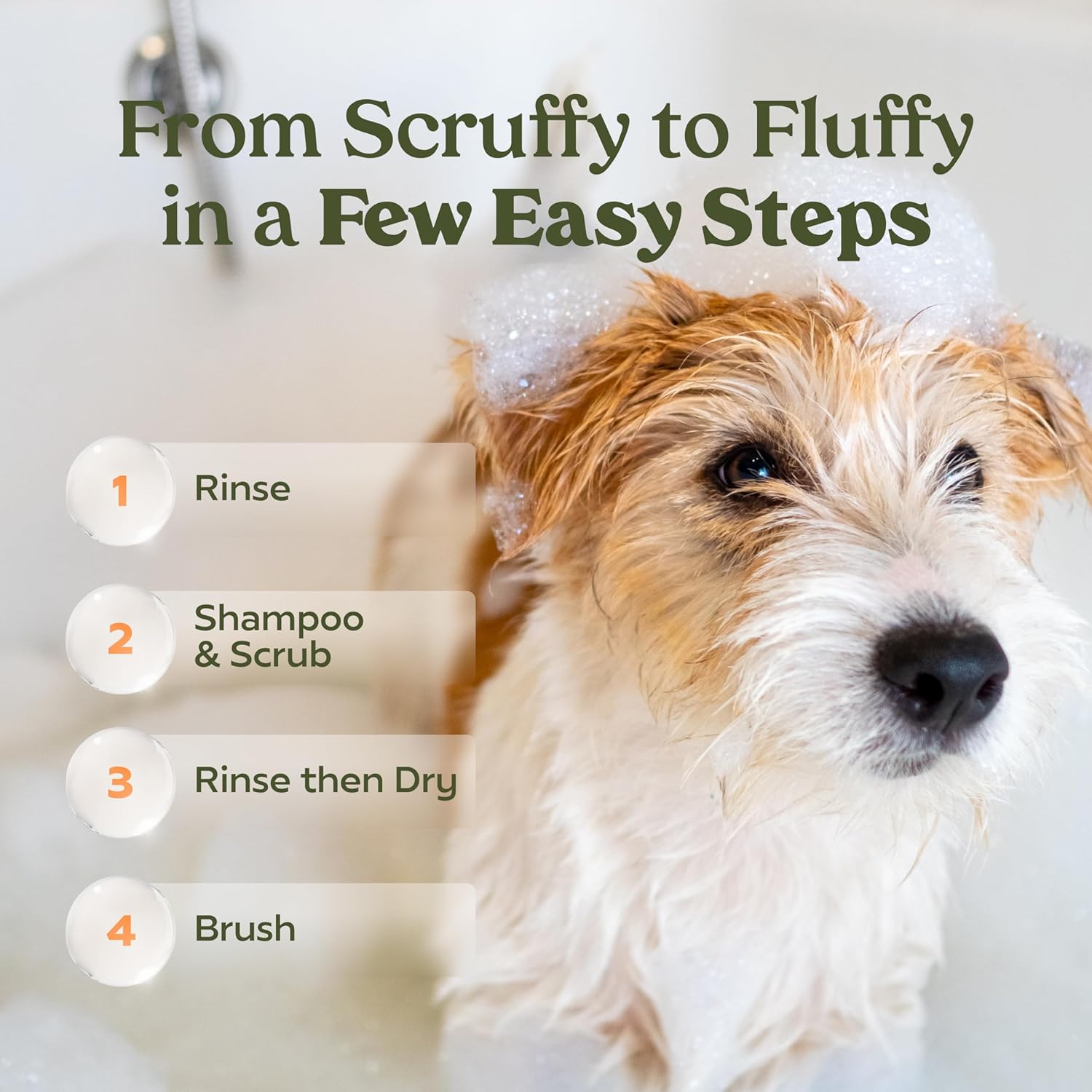 PAWFUME Deshedding Dog Shampoo and Conditioner, Show Dog, 1-Pack – Nourish & Detangle for Silky Soft Coat – Probiotic, Deep-Cleaning, pH-Balanced Formula – Salon-Quality Shampoo for Dogs - Happypetzone.online - Image 12