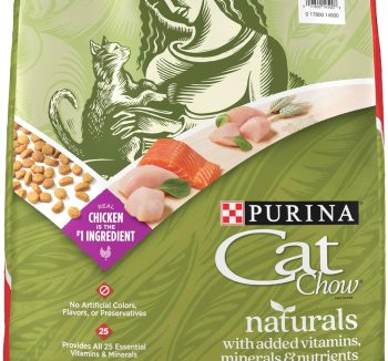 natural cat food