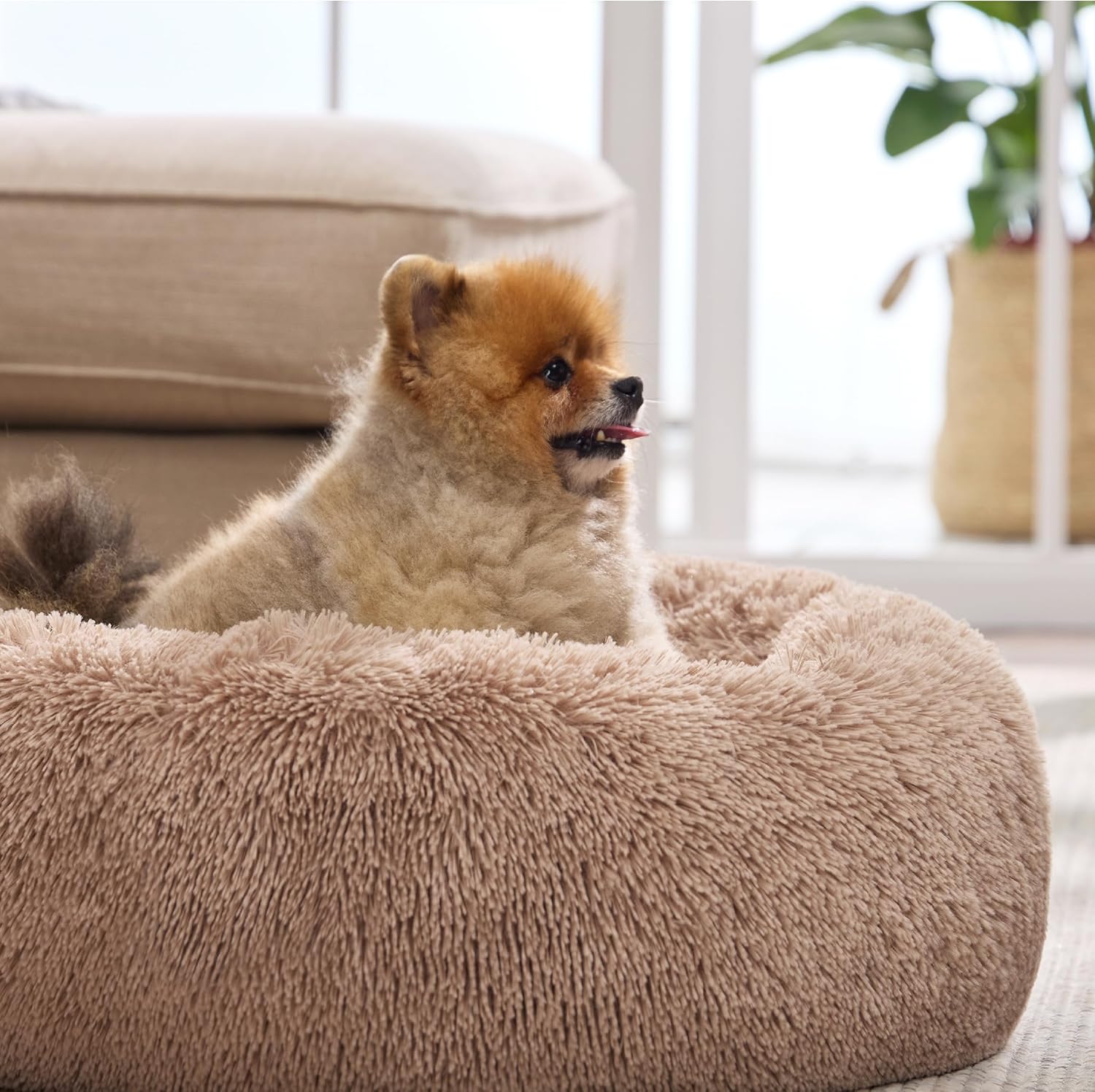 Bedsure Calming Cat Beds for Indoor Cats - Small Cat Bed Washable 20 inches, Anti-Slip Round Fluffy Plush Faux Fur Pet Bed, Fits up to 15 lbs Pets, Camel - Happypetzone.online - Image 7
