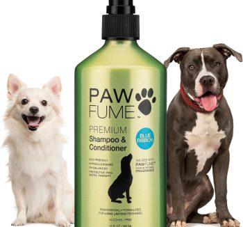 best dog shampoo