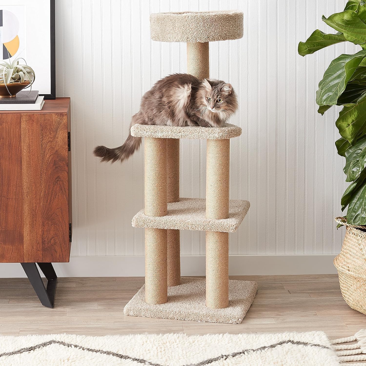 Amazon Basics Cat Tree Tower - Multi-Level Climbing Activity Center for Indoor Cats & Kittens with Scratching Posts, Platform, Jute Rope, Large (45.9"H), Beige - Happypetzone.online - Image 4