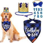dog hat cute