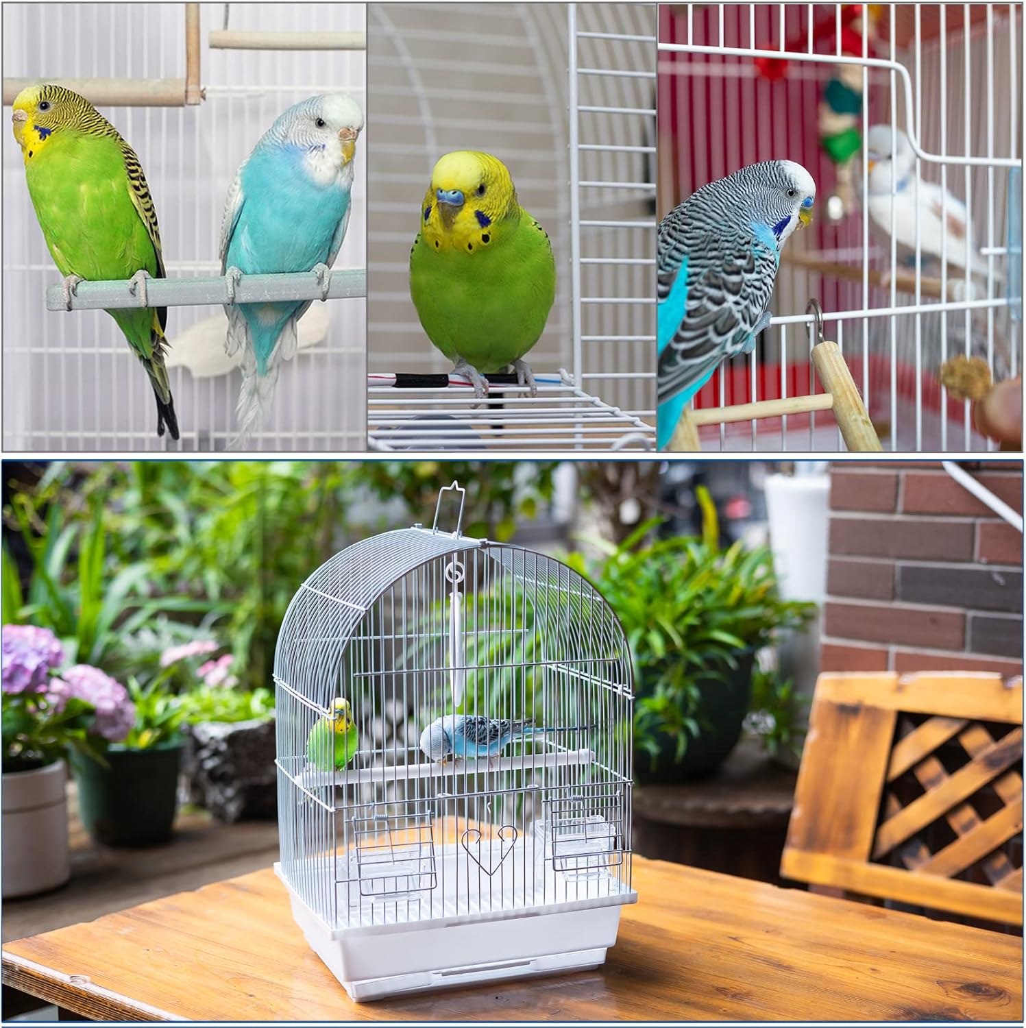 Small Bird Travel Cage - Lightweight Small Birds Starter Kit with Birdcages and Accessories Great for Parakeets Lovebirds Parrotlets Finches Canaries - Happypetzone.online - Image 6