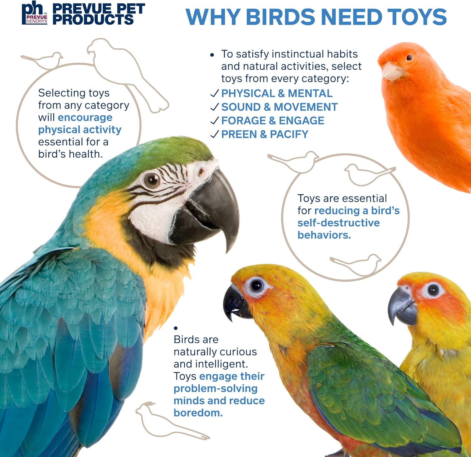 Pervue Pet Products Naturals Preen & Pacify Woodland Harvest Bird Toy 62549 - Happypetzone.online - Image 6