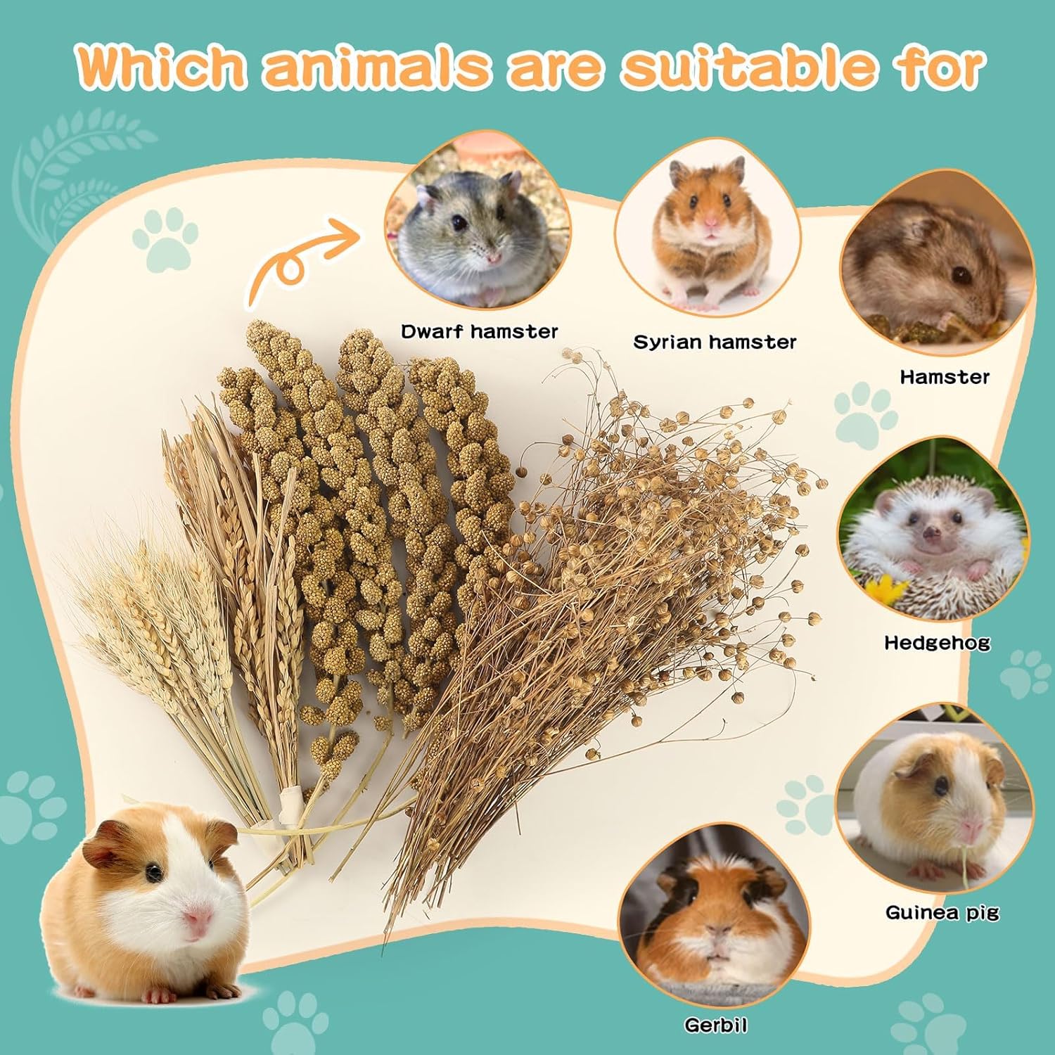 Hamster Spray Set - Natural Snack Grains & Chew Toys for Cage Decoration Accessories, Soft Bedding for Dwarf Syrian Hamsters, Gerbils, Mice & Small Pets - Happypetzone.online - Image 6