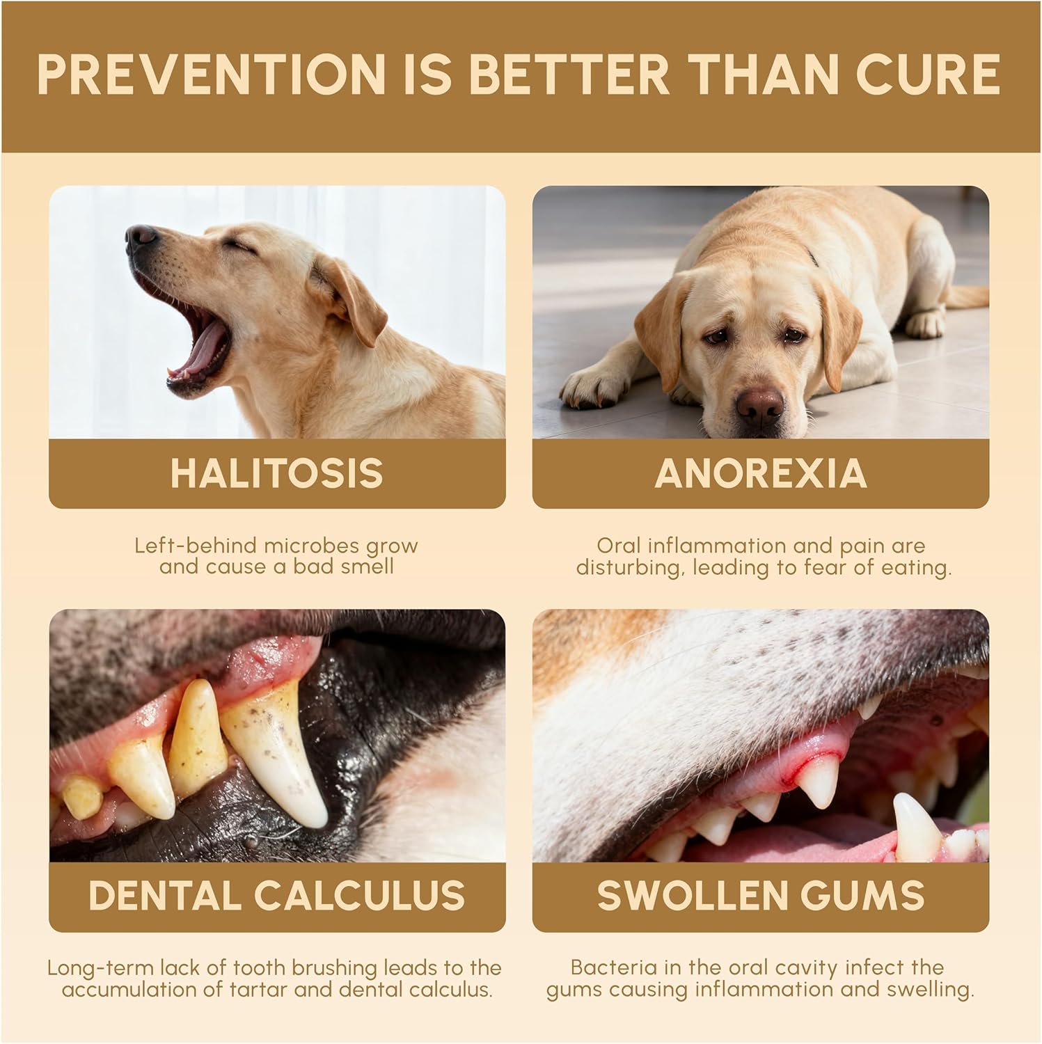 Advanced Probiotic Pet Dental Water Additive, Bio-Active Formula to Fight Oral Bacteria at The Source, Freshens Breath, Reduces Plaque & Tartar, Just Add to Water, Vet Recommended, 9.8 oz - Happypetzone.online - Image 4