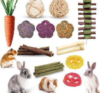 hamster toys chewing