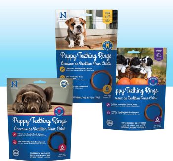 puppy training treats