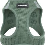 dog harness for small dogs