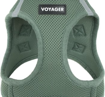 dog harness for small dogs