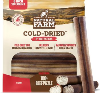 best dog treats