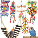 bird toy set bundle