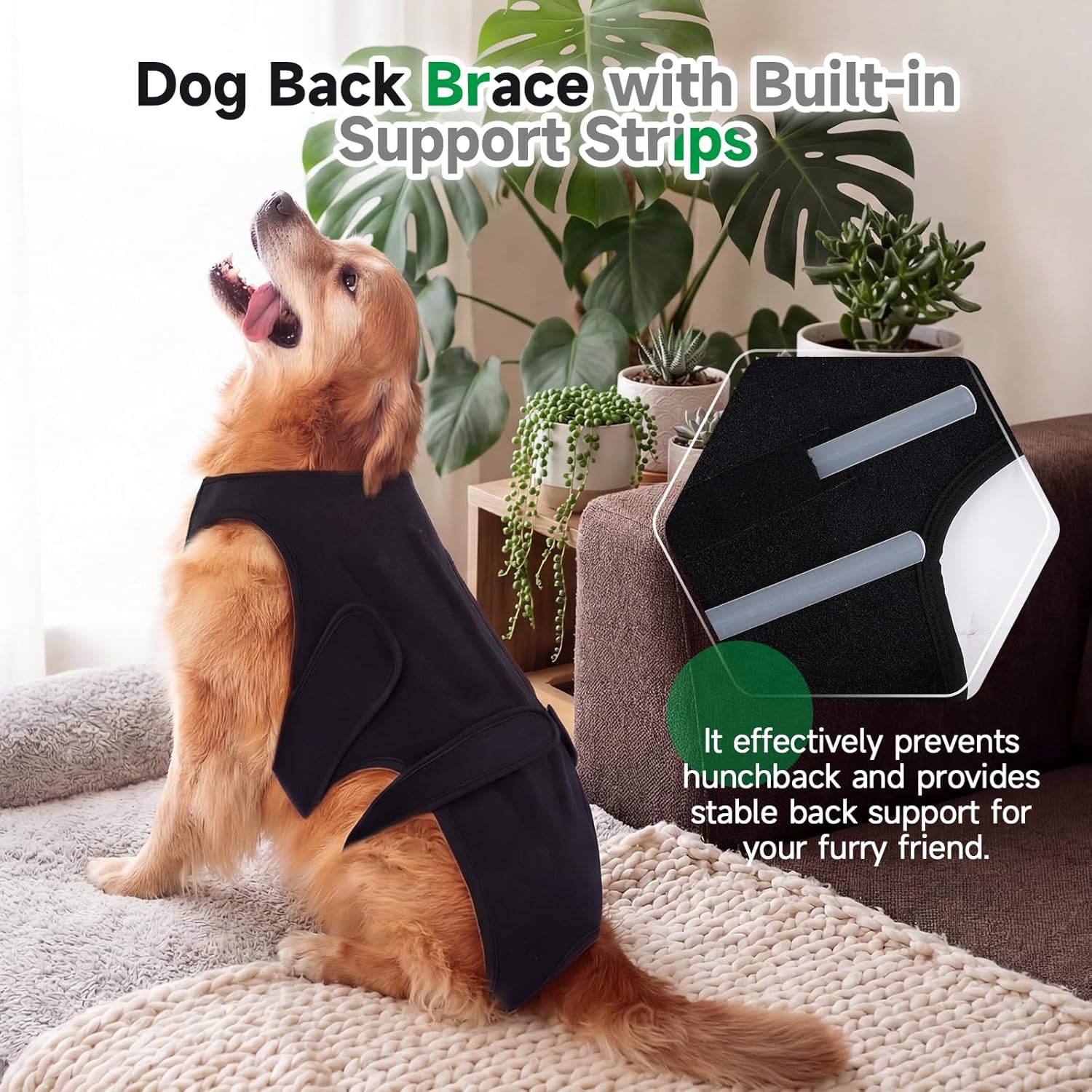 Back Brace for Dogs with Arthritis, IVDD Mobility Back Brace for Pet, Strong Dog Spine Stability Support, Breathable & Adjustable for Joint & Hip Support Senior or Less Mobile Dogs, Black L - Happypetzone.online - Image 6