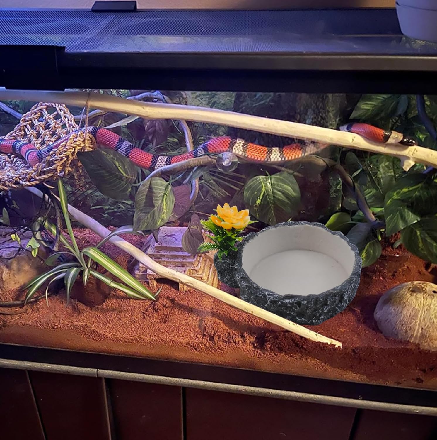 Reptile Food Bowl with Artificial Plant,Rock Reptile Water Dish Bearded Dragon Feed Terrariums Dish for Snake Tortoise Chameleon Hermit Crabs Turtle Leopard Gecko Frog - Happypetzone.online - Image 4
