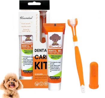cat dental care kit