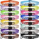cheap cat collars bulk