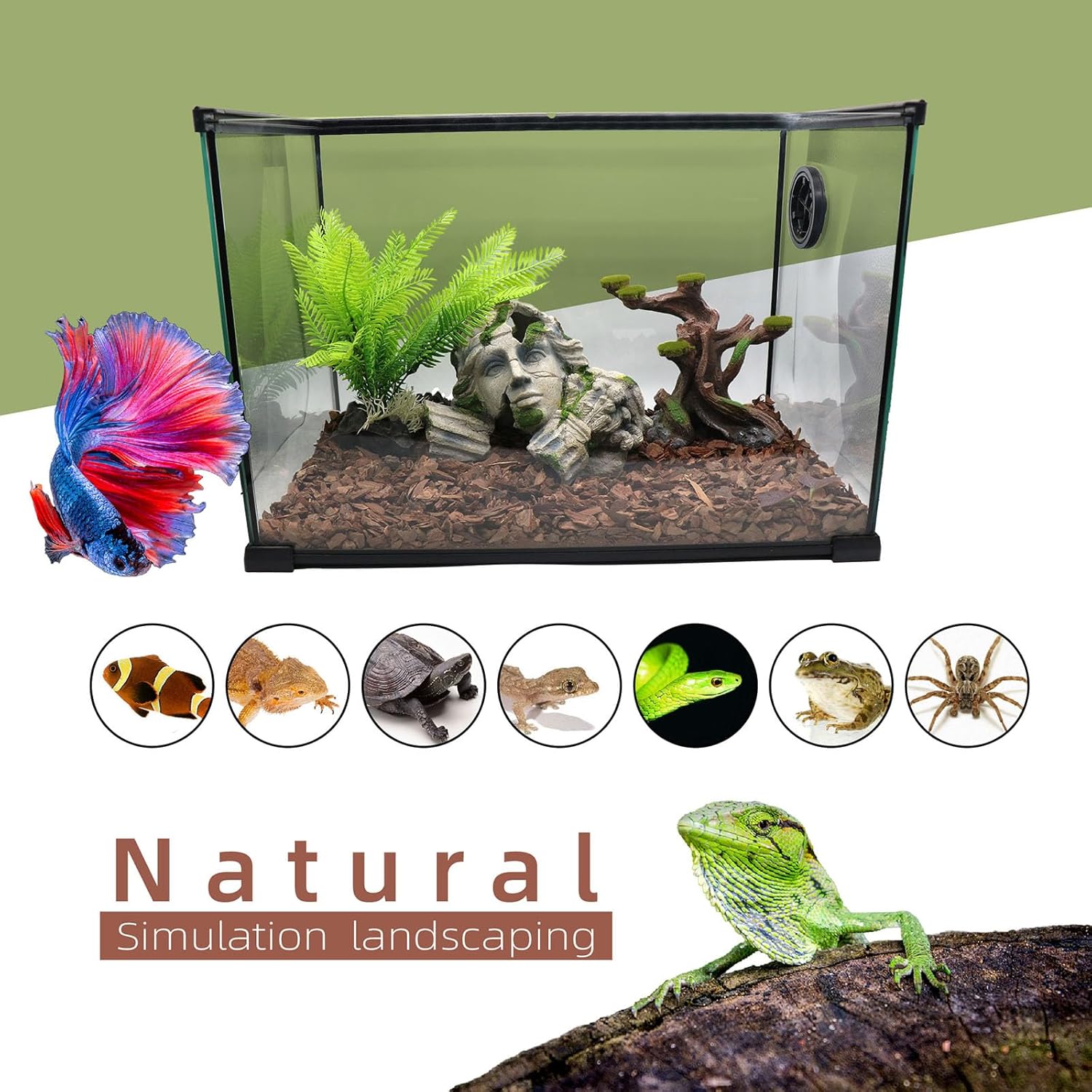 relaqcc Reptile Cave Hideout Tank Accessories Decorations, Aquarium Hideaway Cave Fish Tank Decorations for Amphibians, Betta Fish, Shrimp, Lizards, Leopard Gecko - Happypetzone.online - Image 7