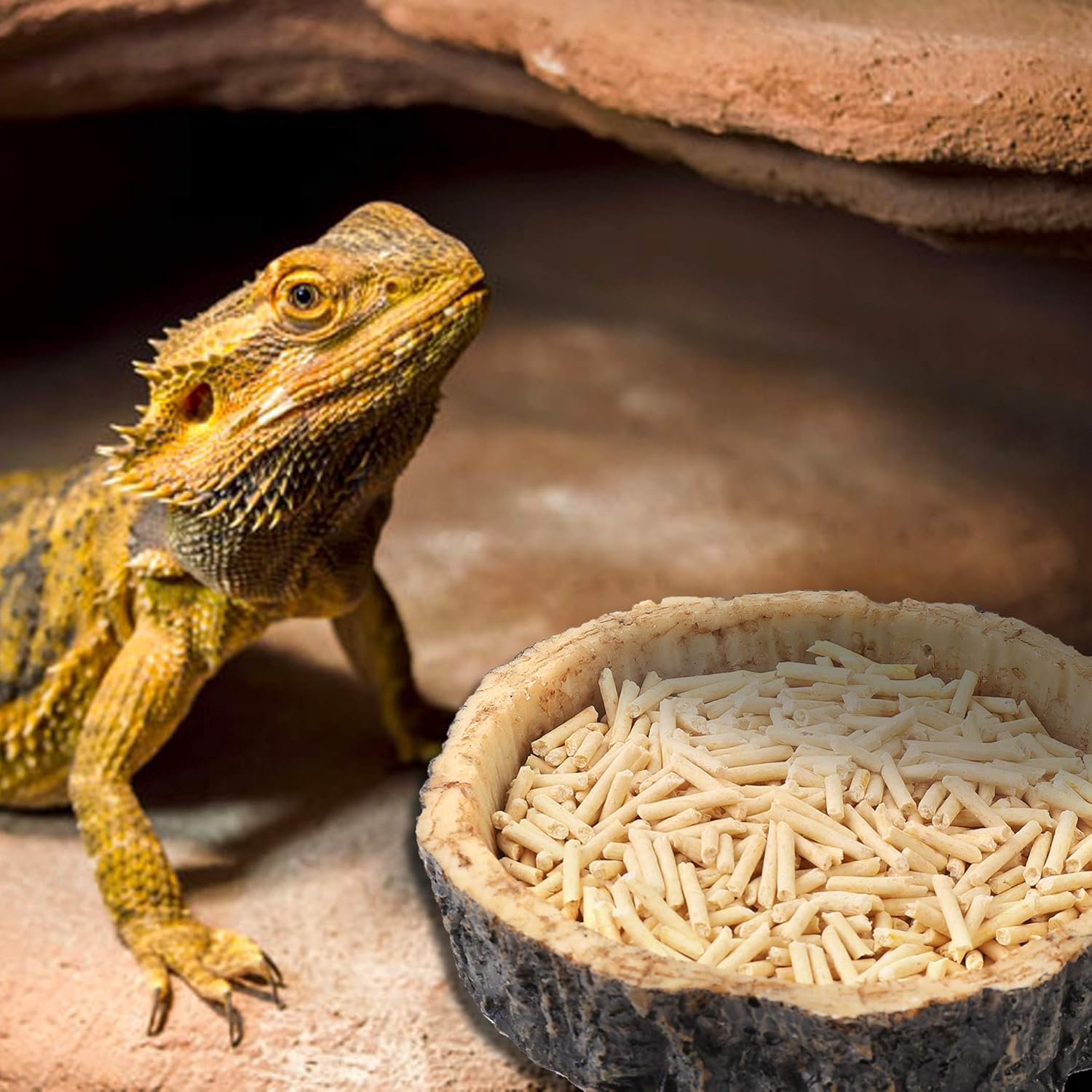 CalPalmy 2 Pack Reptile Water and Food Bowls, Novelty Food Bowl for Lizards, Young Bearded Dragons, Small Snakes and More - Made from BPA-Free Plastic - Happypetzone.online - Image 2