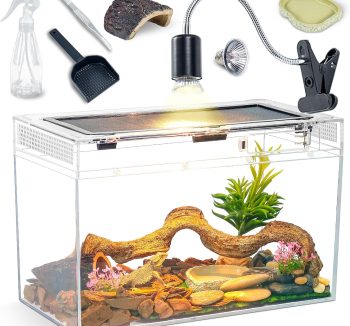 reptile tank starter kit