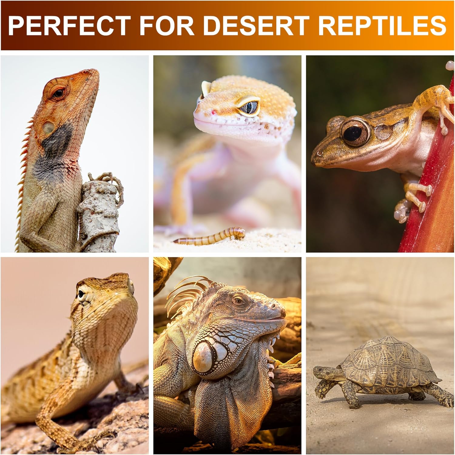 UVB Reptile Light Bulb 10.0, 23W UV Spiral Compact Florescent Terrarium Lamp Ideal for Desert Reptiles Bearded Dragons Lizard Tortoise Iguanas Chameleons Snake - 2 Pack - Happypetzone.online - Image 4