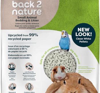 small animal bedding safe