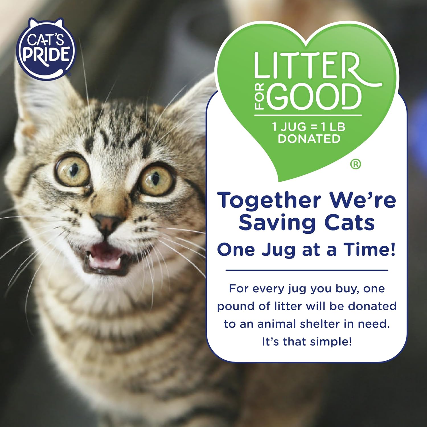 Cat's Pride NEW Antibacterial Cat Litter: Destroys 99.9% of Odor-Causing Bacteria - Powerful Odor Control - Premium Lightweight Clumping Litter - Scented, 12 Pounds - Happypetzone.online - Image 6