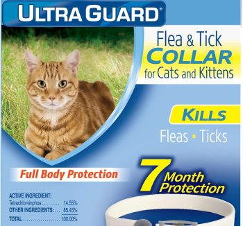 cat flea treatment
