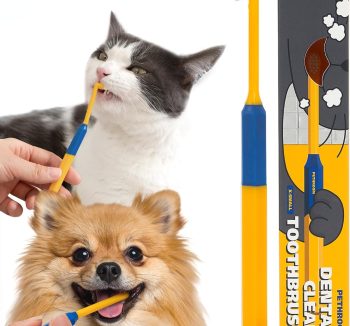 small pet dental care