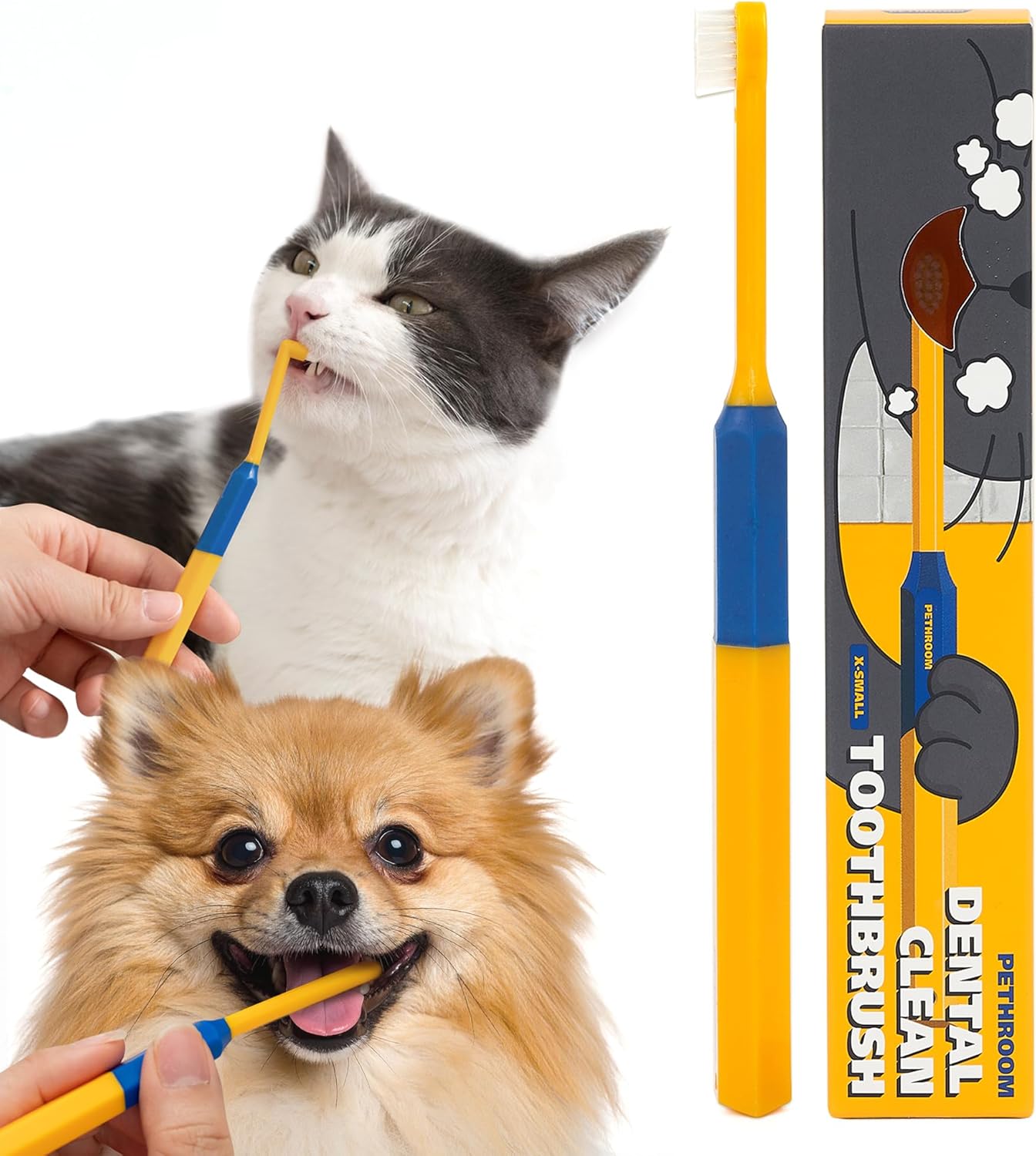 small pet dental care