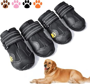 dog shoes boots